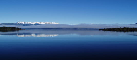 Devine Food and Beverage