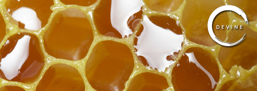 A Rare Commodity Feature Image